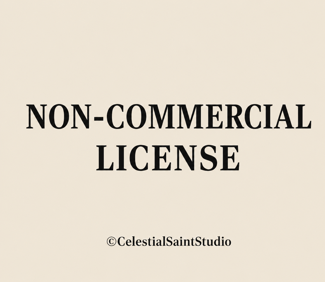 Non-Commercial License for Digital Downloads